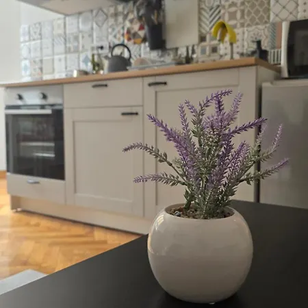 Apartment Major Βελιγράδι Εξωτερικό φωτογραφία